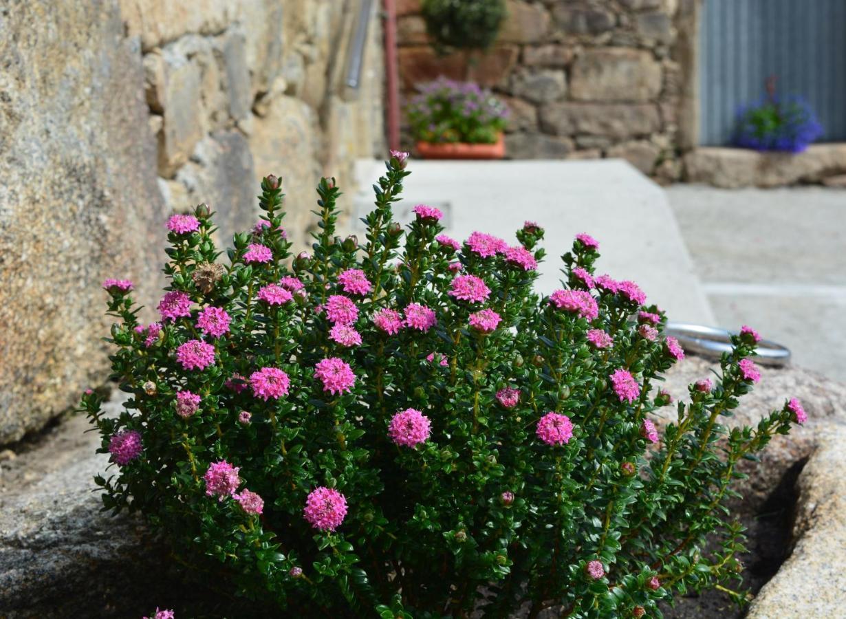 Casa De Valente -